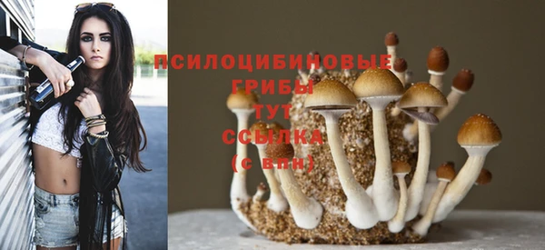 экстази Алзамай
