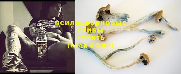 прущий лед Абдулино