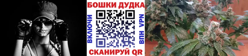 Каннабис план  Пучеж 
